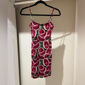Forever 21 Watermelon Print Bodycon Dress